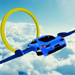 Futuristic Flying Car Driving