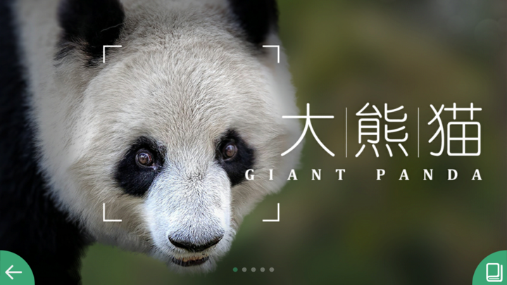 贝林任意门 screenshot 5