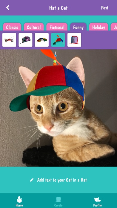 Cats In Hats screenshot 2