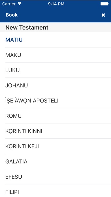 Bible Yoruba screenshot-3