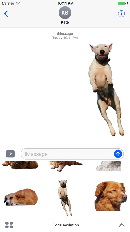 Dogs evolution