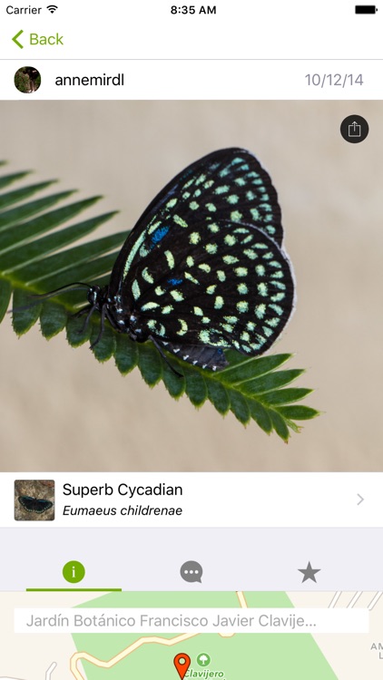 iNaturalist screenshot-0