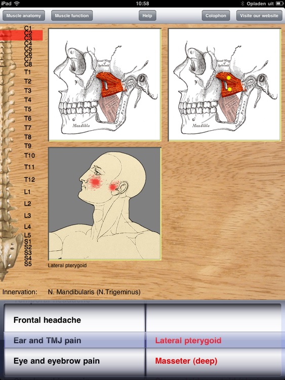 Dry Needling screenshot-4