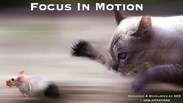 Focus In Motion(圖5)-速報App