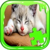 Cat Jigsaw Puzzles For Kids And Toddler