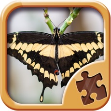 Activities of Butterfly Jigsaw Puzzles - Cool Puzzle Games