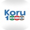 Korubin is designed to automatize and manage the control points for any kind of water systems