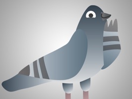 A loveable and cheeky pigeon to expression how you really feel