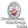Orchideen Zentrum Celle