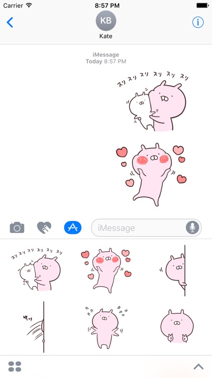 usako next to the usamaru stickers