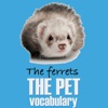 The Pet Name Vocabulary
