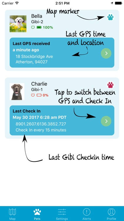 Gibi Pet GPS Tracking Service