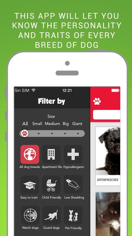 Dog File: Find the perfect dog breed that fits you