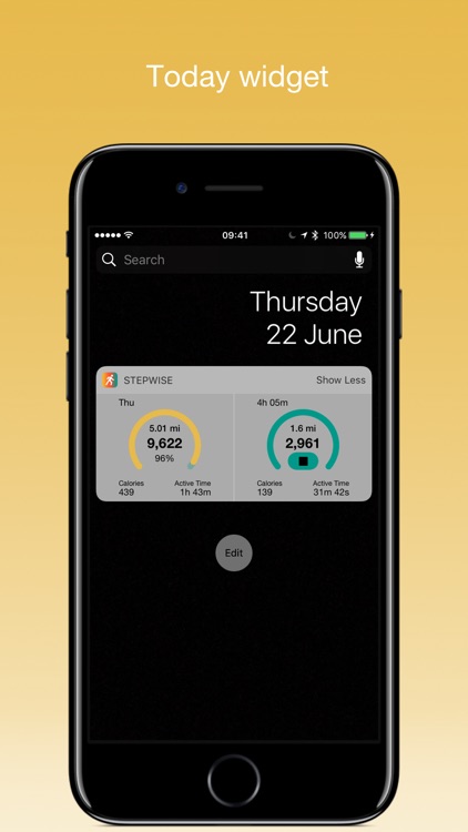 Stepwise Pedometer screenshot-4