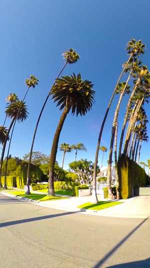 VR Beverly Hills Drive A Virtual Reality