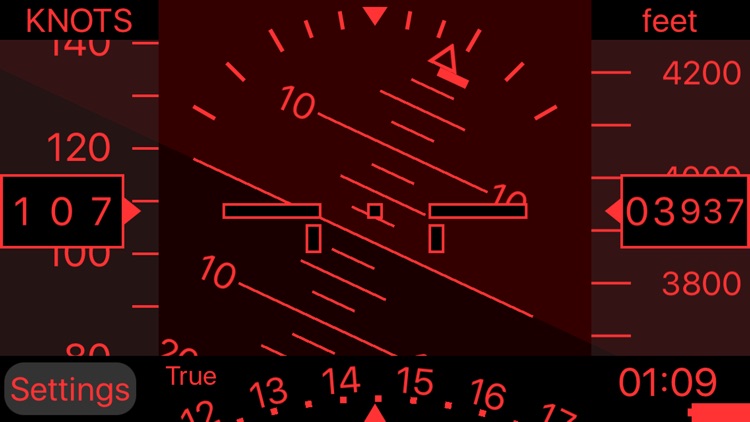 iBFD (integrated Backup Flight Display)
