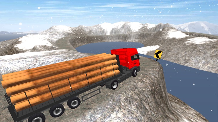Truck Driver Cargo 3D