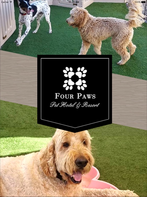 Four Paws Pet Hotel & Resort HD