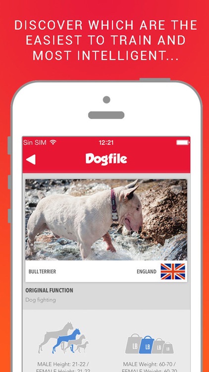 Dog File: Find the perfect dog breed that fits you screenshot-4