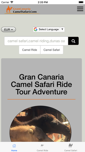 Camel Safari