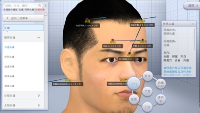 中医3D铜人-针刺 screenshot 3