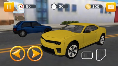 Crazy City Taxi Driver Simulation screenshot 3