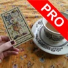 Daily & Love Tarot Pro