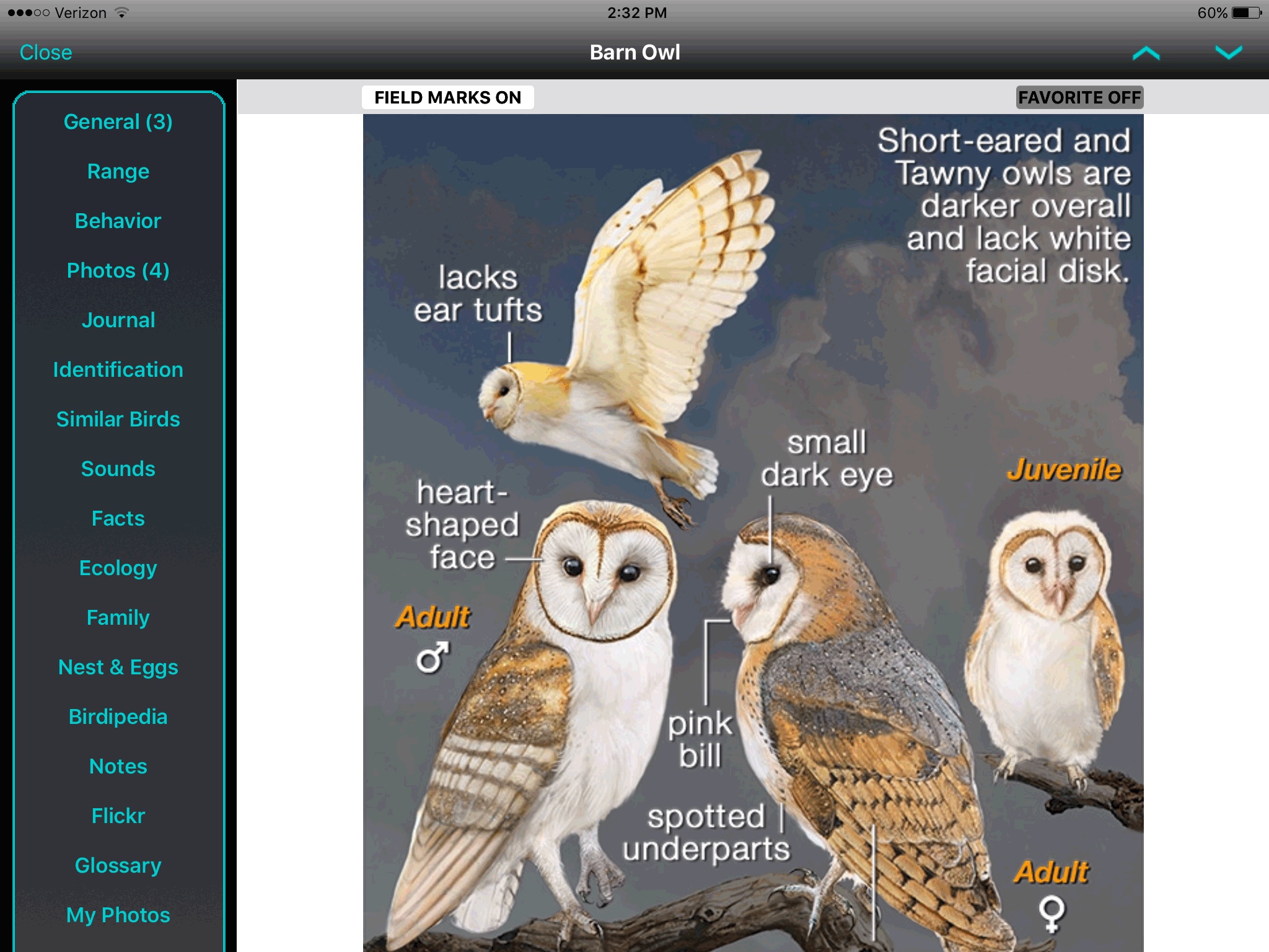 iBird UK Pro Guide to Birds screenshot 2