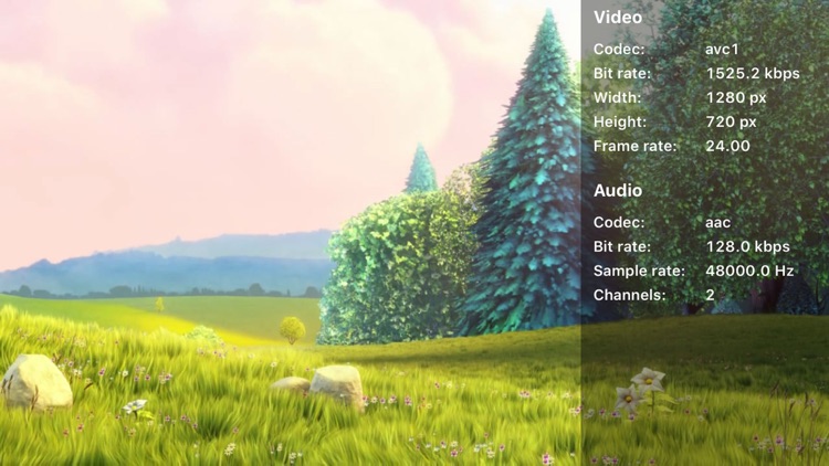 FJPlayerTV screenshot-4