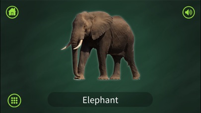 Learn Animals for Toddler screenshot 4