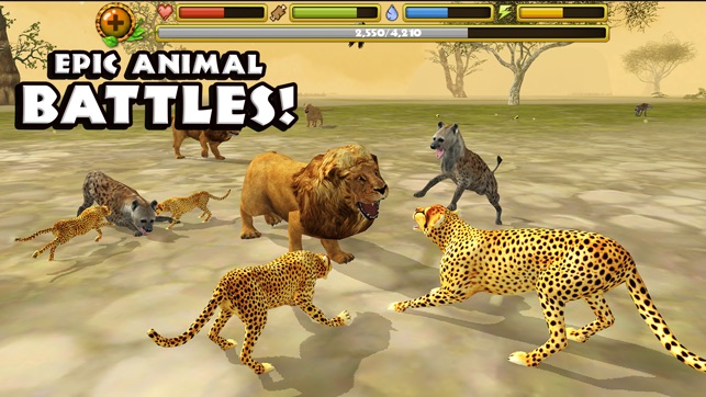 Cheetah Simulator(圖5)-速報App