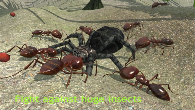 Ant Simulation 3D