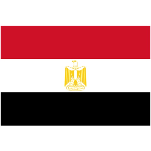 Egypt SDG Info icon