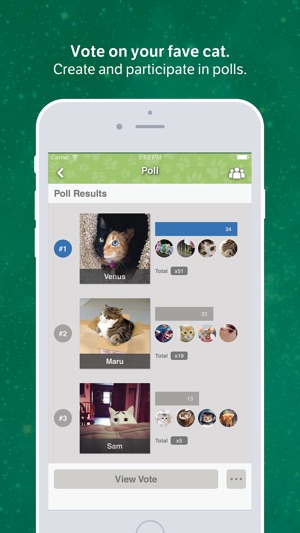 Amino for: Cats and Kittens(圖3)-速報App