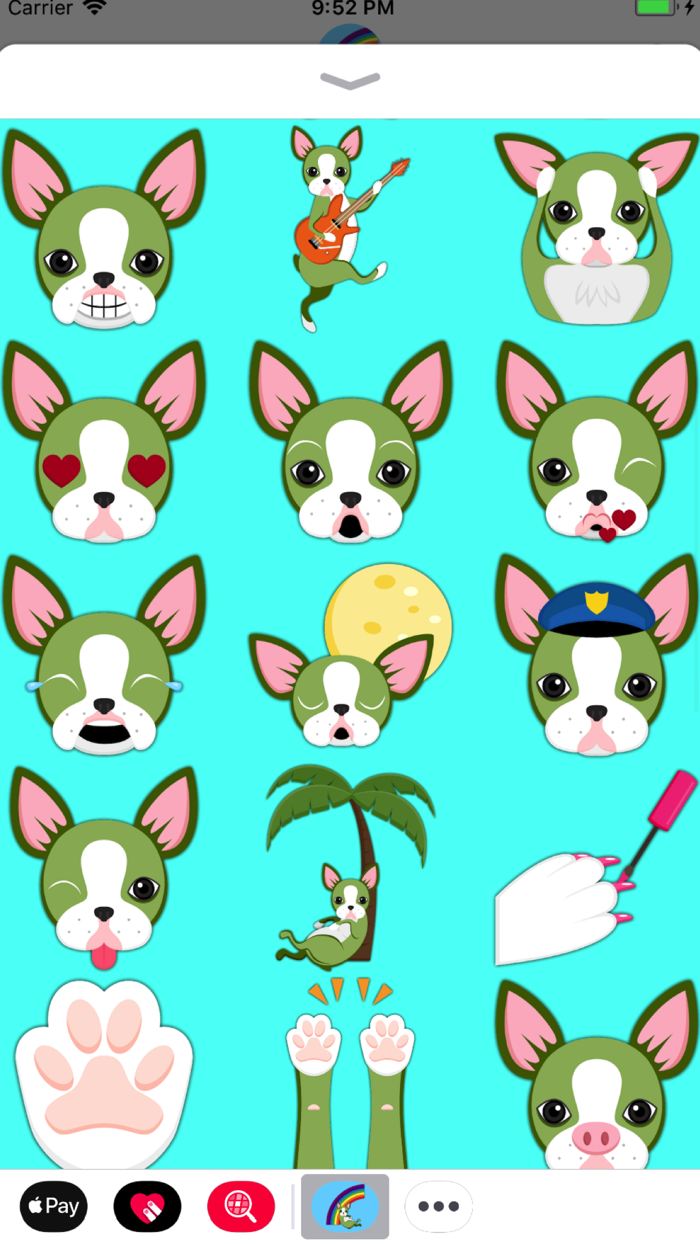 St Patricks Boston Terrier