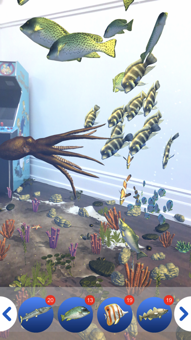 Fish Tank AR screenshot 4
