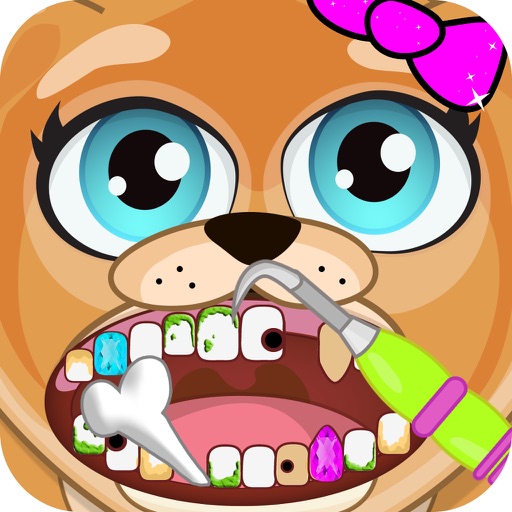Celebrity Dentist Pets Doctor Icon