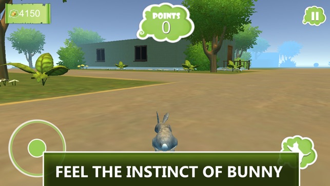 Extreme Rabbit 3D Simulator