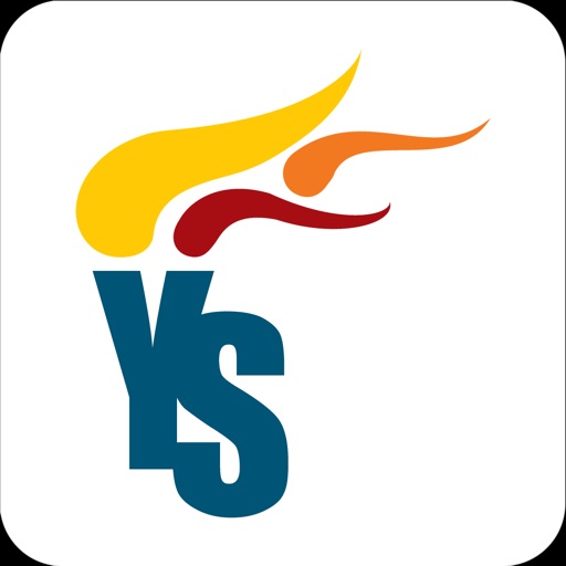 YS Group