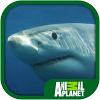 Animal Planet: Sharks pour PC