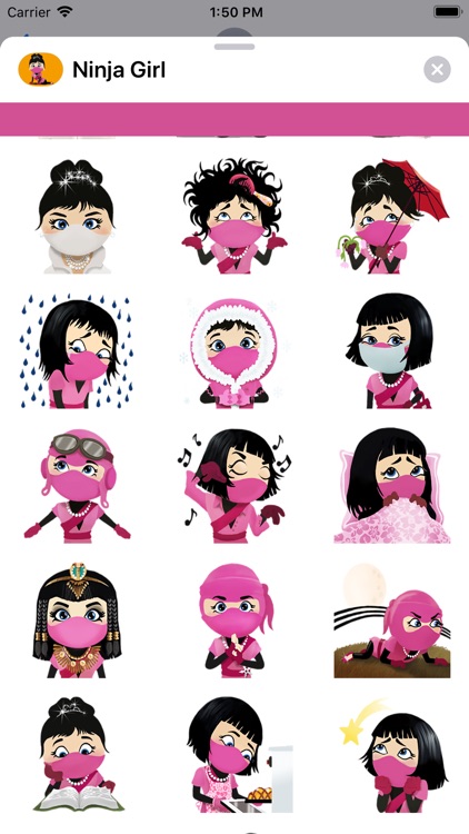 Ninja Girl Stickers