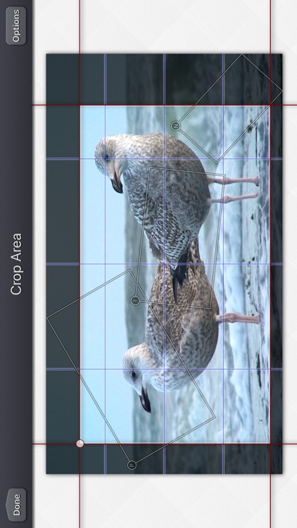 Video Crop & Zoom - HD screenshot-6