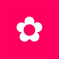 CodeMyPlant sur PC