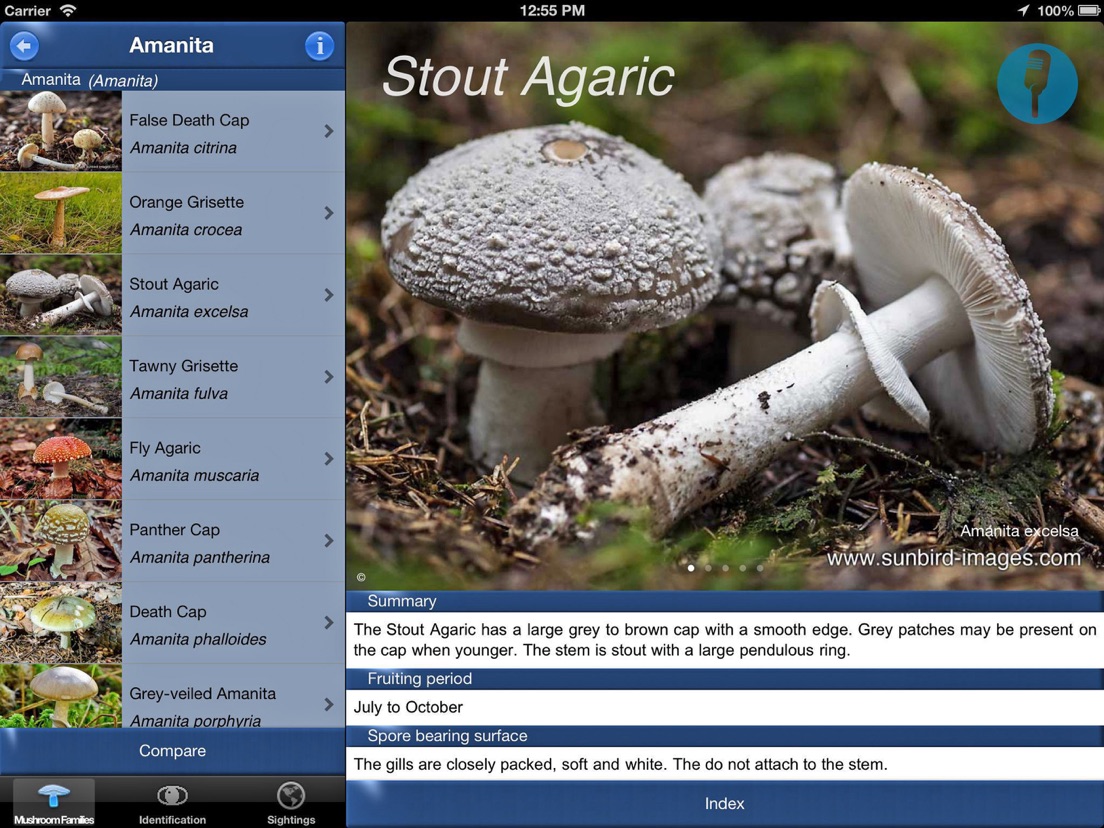 Mushroom Id Guide - UK - App voor iPhone, iPad en iPod touch - AppWereld