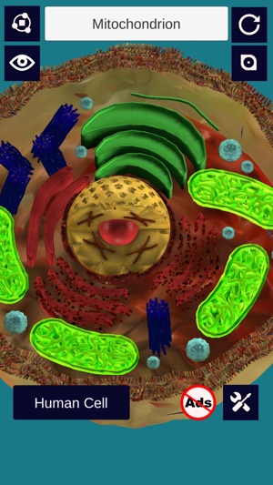 3D Cell +