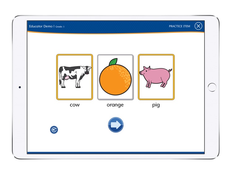 Lexia RAPID