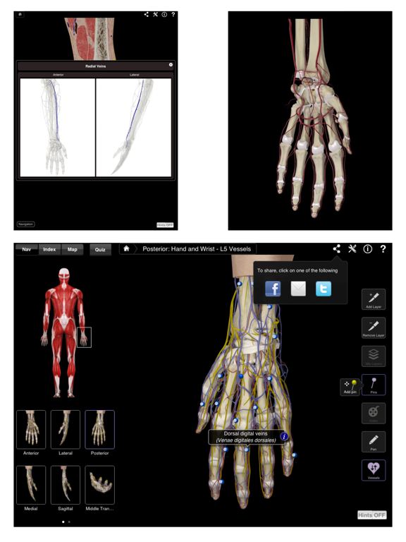 Hand & Wrist Pro III for iPadのおすすめ画像5
