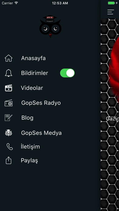 GopSes screenshot 2