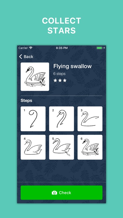 Drawy. Drawing step by step
