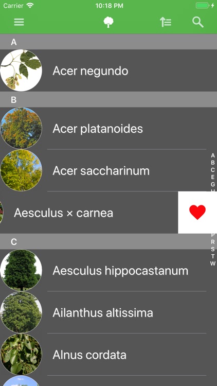 Deciduous trees